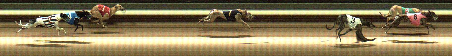 Photo finish for Warragul Race 8