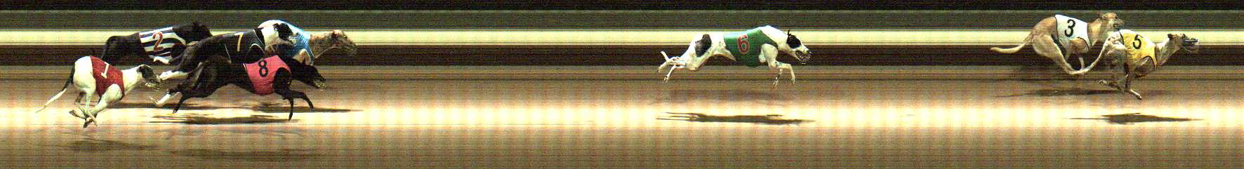 Photo finish for Warragul Race 9
