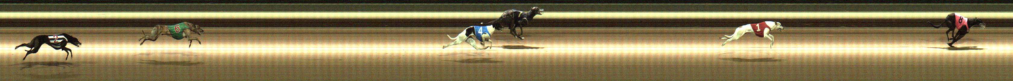Photo finish for Warragul Race 12