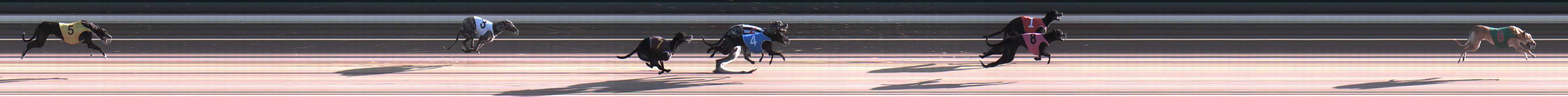 Photo finish for Warragul Race 1