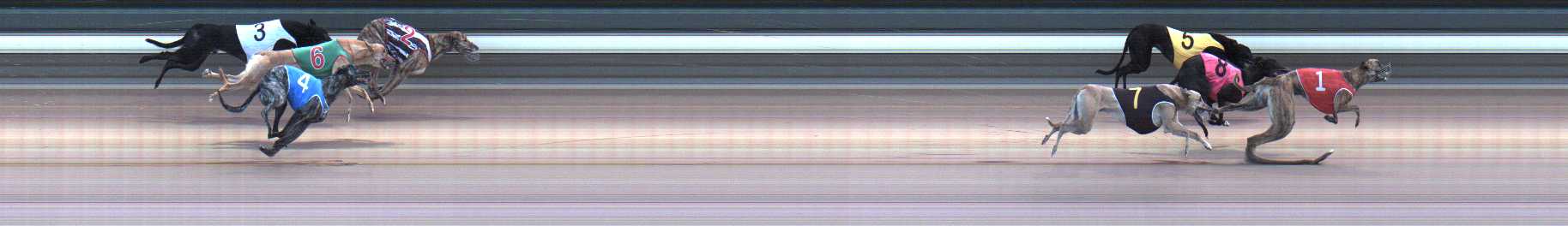 Photo finish for Warragul Race 2