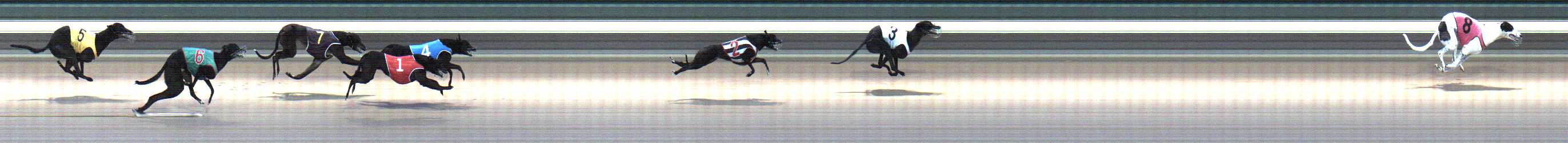 Photo finish for Warragul Race 3