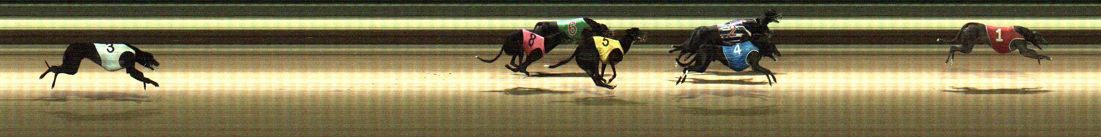 Photo finish for Warragul Race 5