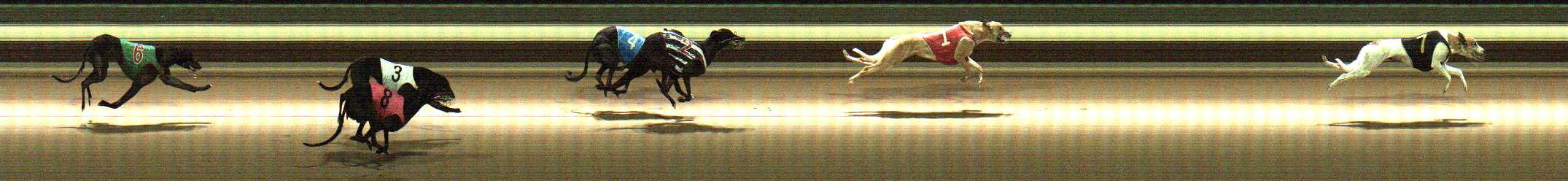 Photo finish for Warragul Race 6