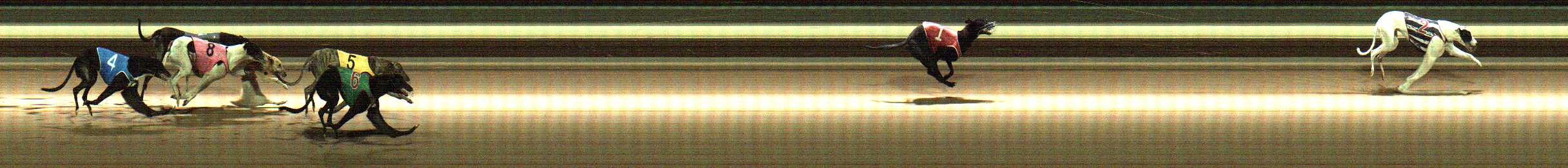 Photo finish for Warragul Race 7