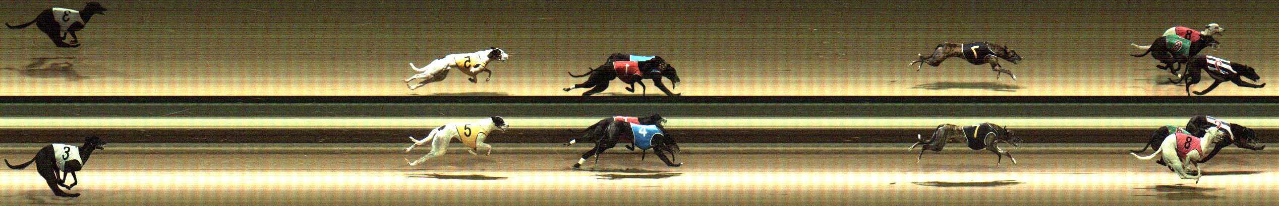 Photo finish for Warragul Race 8