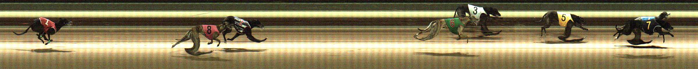 Photo finish for Warragul Race 9