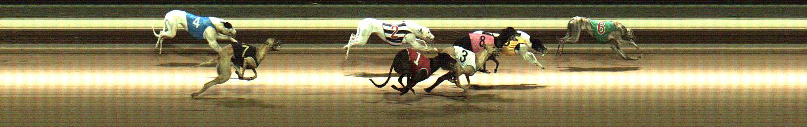 Photo finish for Warragul Race 10