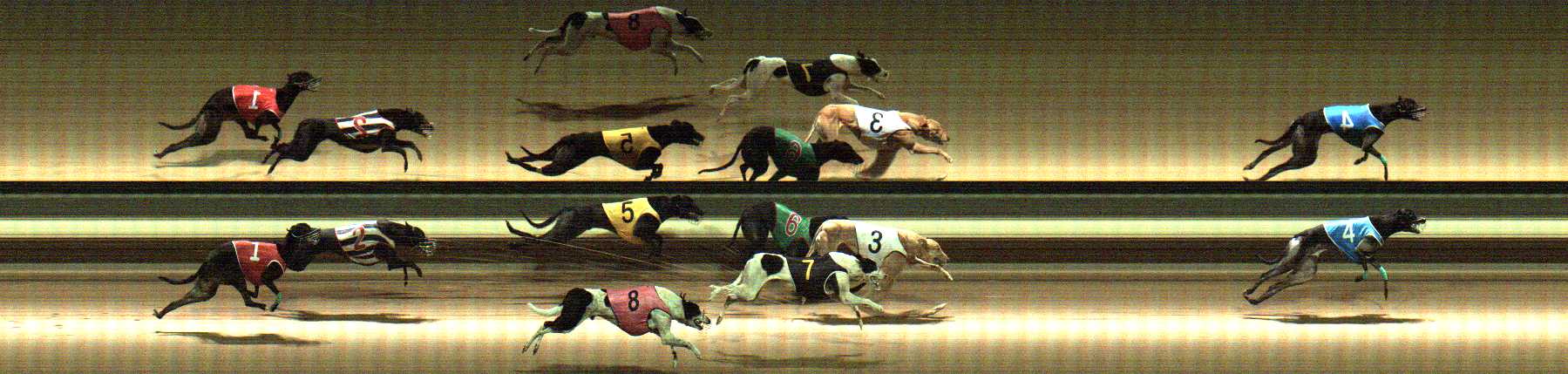 Photo finish for Warragul Race 11