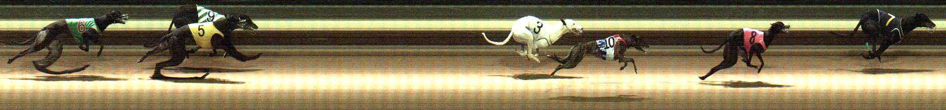 Photo finish for Warragul Race 12