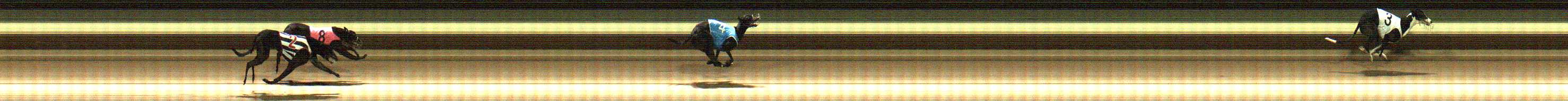 Race result finish photo