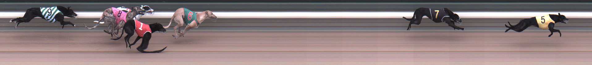 Photo finish for Warragul Race 1