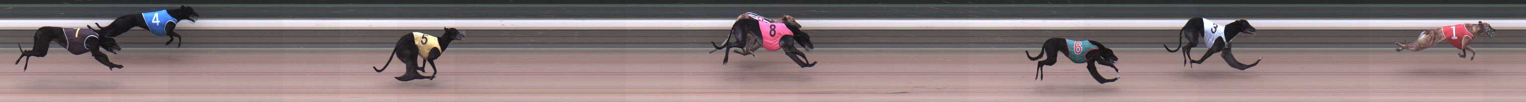 Photo finish for Warragul Race 2