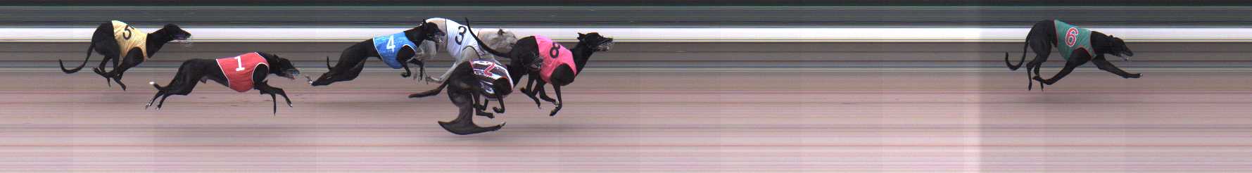 Photo finish for Warragul Race 3