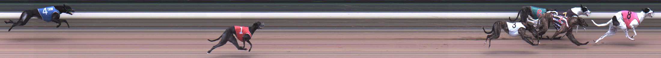 Photo finish for Warragul Race 4