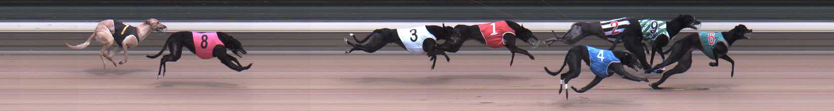 Photo finish for Warragul Race 5
