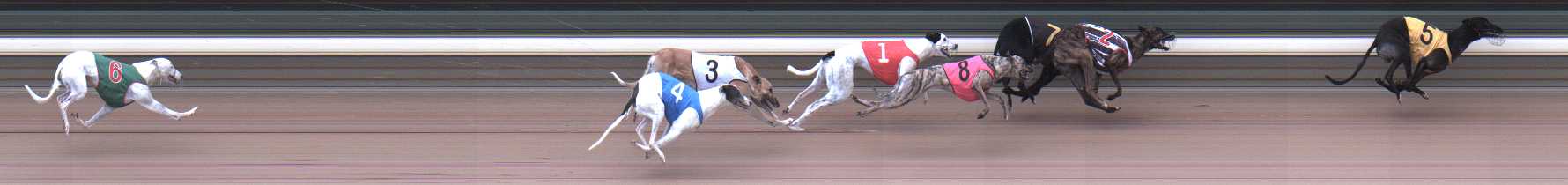 Photo finish for Warragul Race 6