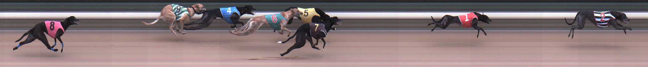 Photo finish for Warragul Race 7