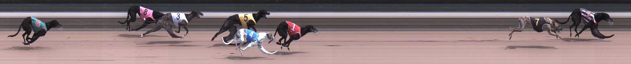 Photo finish for Warragul Race 8