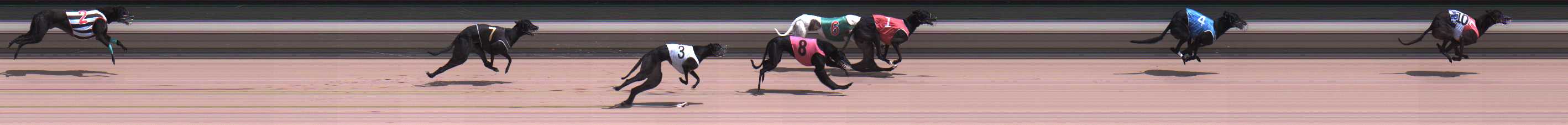 Photo finish for Warragul Race 9