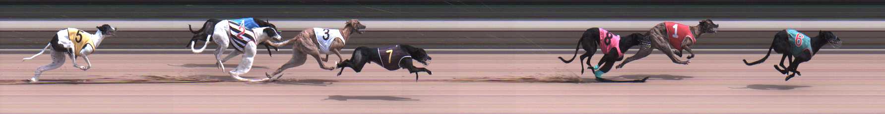 Photo finish for Warragul Race 10