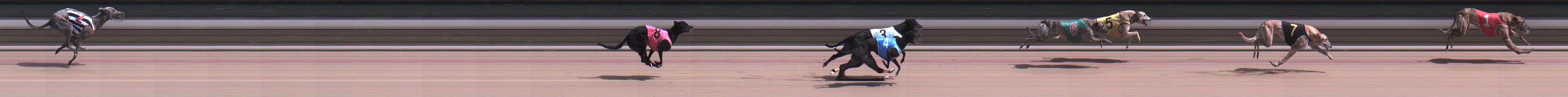 Photo finish for Warragul Race 11