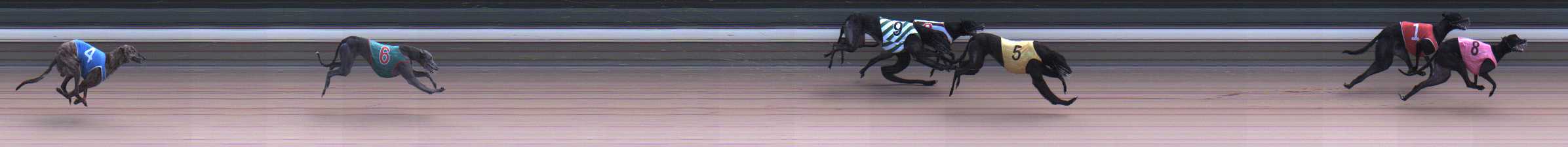 Photo finish for Warragul Race 12