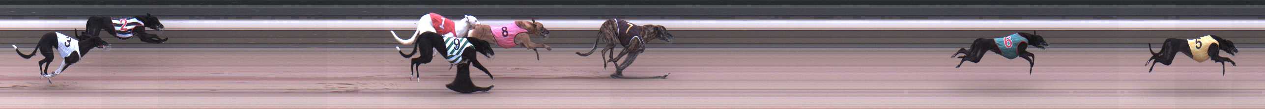 Photo finish for Warragul Race 1