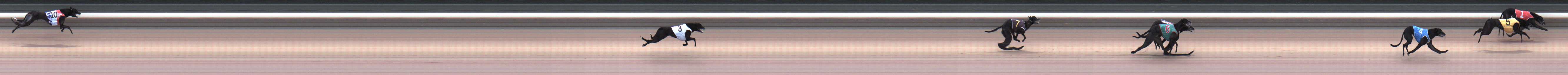 Photo finish for Warragul Race 2