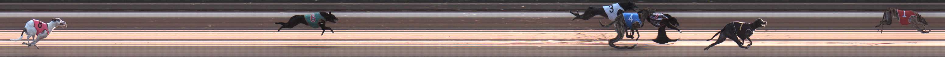 Photo finish for Warragul Race 3