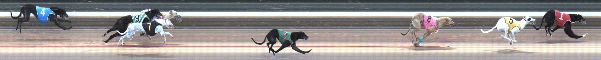 Photo finish for Warragul Race 4