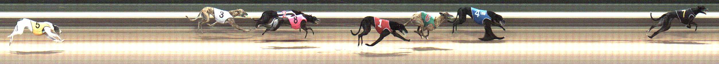 Photo finish for Warragul Race 5