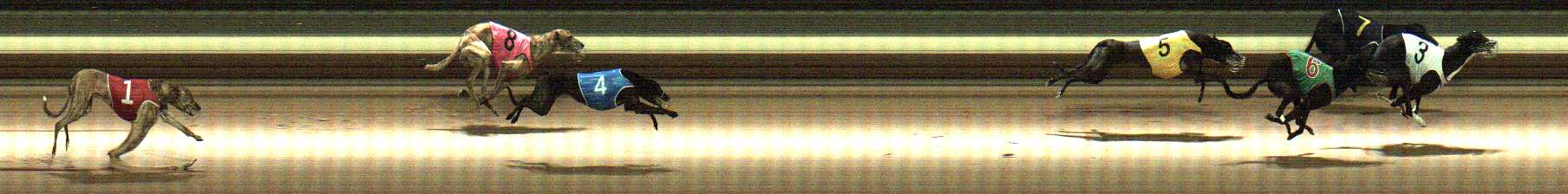 Photo finish for Warragul Race 6