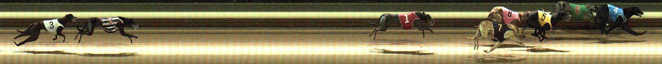 Photo finish for Warragul Race 7