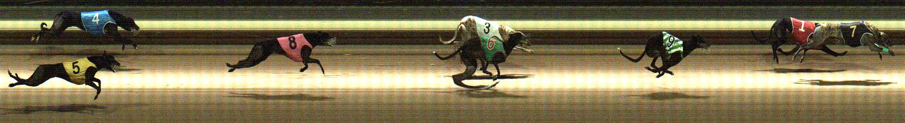 Photo finish for Warragul Race 8