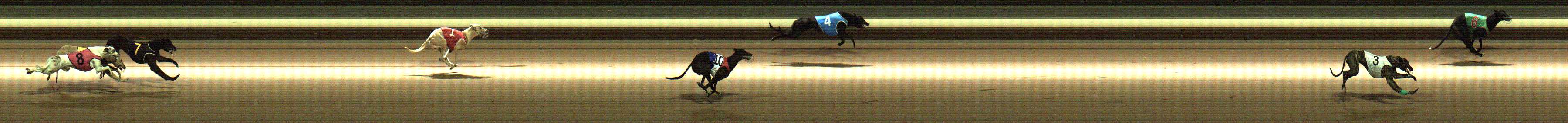 Photo finish for Warragul Race 9