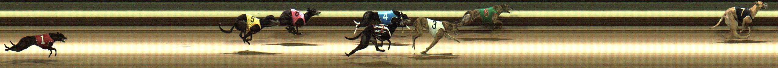 Photo finish for Warragul Race 10