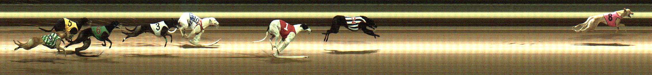 Photo finish for Warragul Race 11