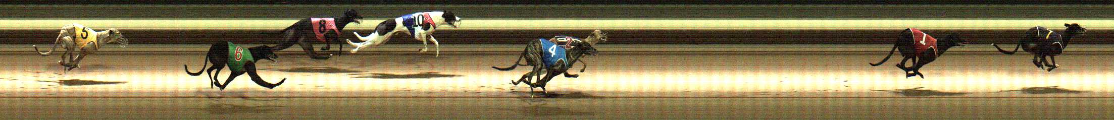 Photo finish for Warragul Race 12
