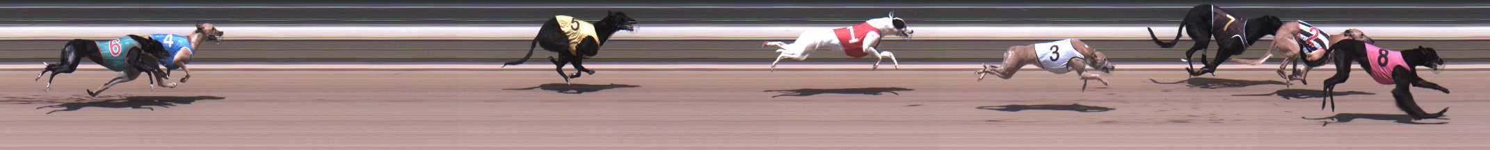 Photo finish for Warragul Race 1