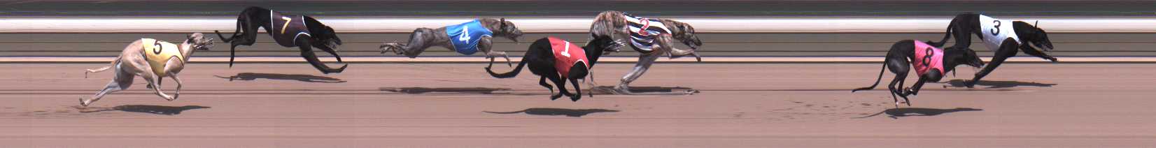 Photo finish for Warragul Race 2