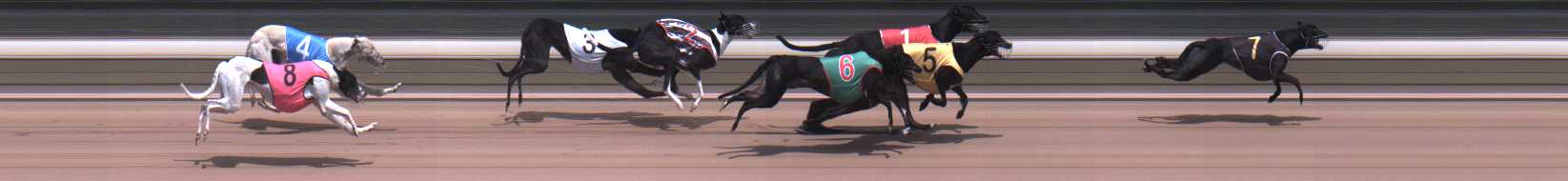 Photo finish for Warragul Race 3