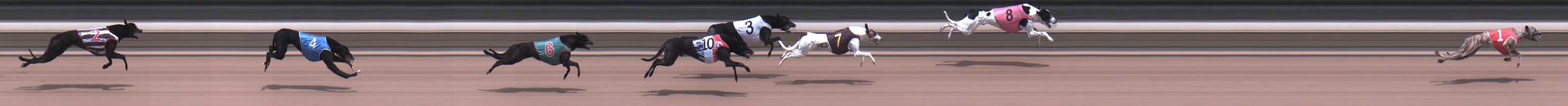 Photo finish for Warragul Race 4