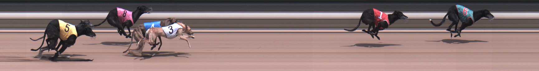 Photo finish for Warragul Race 5