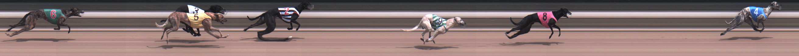 Photo finish for Warragul Race 6