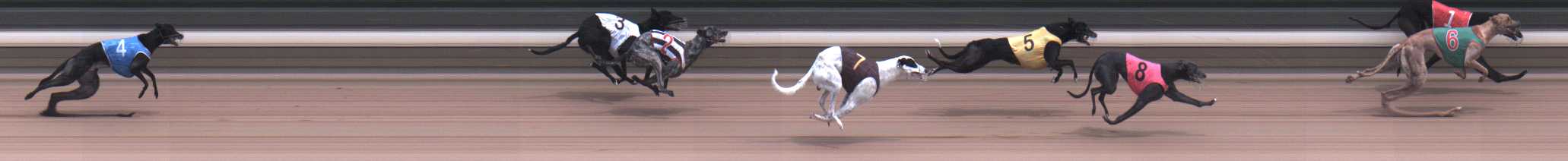 Photo finish for Warragul Race 7