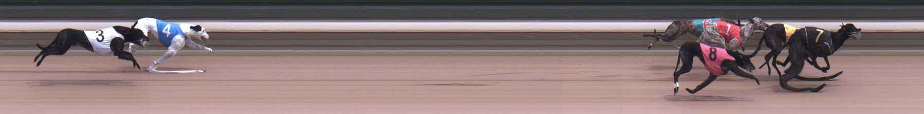 Photo finish for Warragul Race 8