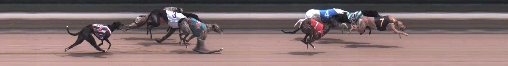 Photo finish for Warragul Race 9