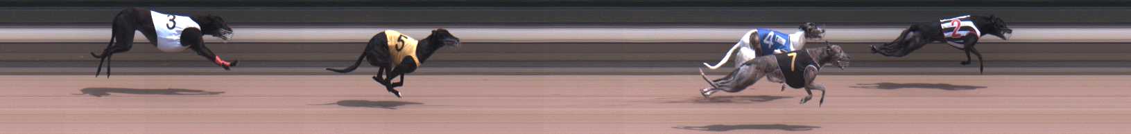 Photo finish for Warragul Race 10