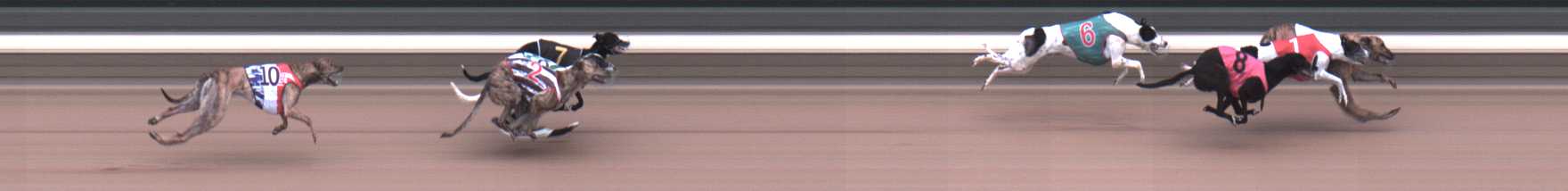 Photo finish for Warragul Race 11